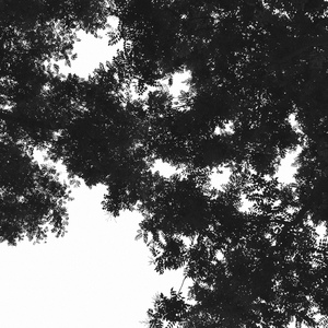 精品免费囯产一区二区三区四区视频
